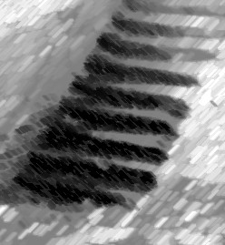 Damp steps down to the sea